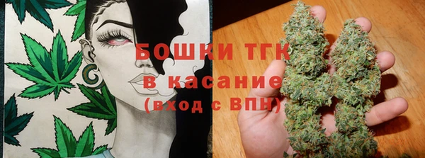 прущие крисы Алзамай