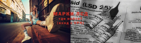 прущие крисы Алзамай