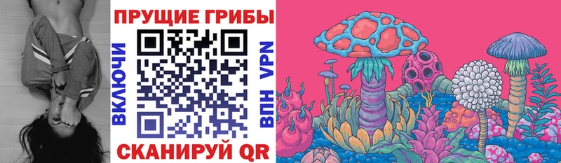 Псилоцибиновые грибы Cubensis  Туймазы 